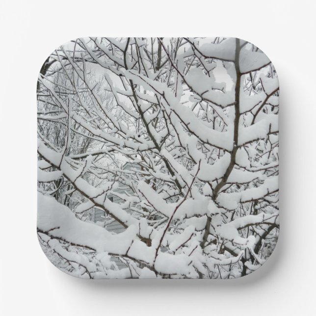 PLATO DE PAPEL NIEVE EN LAS RAMAS (Anverso)