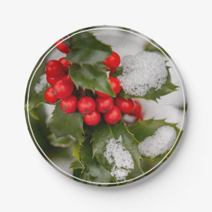 Plato De Papel Nieve Y Holly