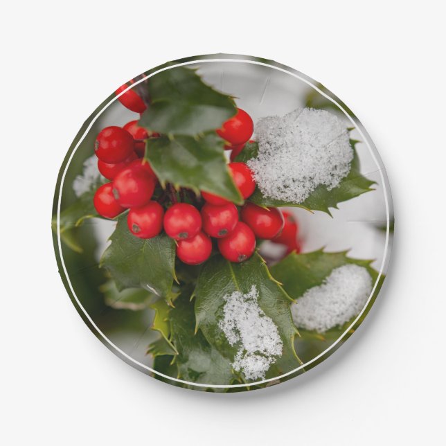 Plato De Papel Nieve Y Holly (Anverso)