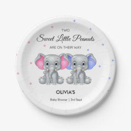 Plato De Papel Niño Chica gemelo elefante lindo Baby Shower