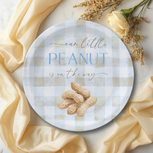 Plato De Papel Niño pequeño de maní azul a cuadros Baby Shower