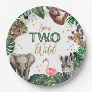 Plato De Papel Niños Safari Dos Años Salvajes