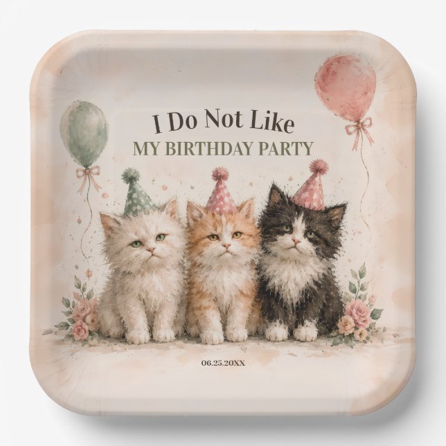 Plato De Papel No Me Gusta Mi Fiesta De Cumpleaños (Anverso)