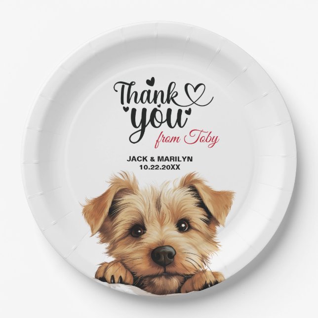 Plato De Papel Norfolk Terrier (Anverso)