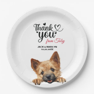 Plato De Papel Norwich Terrier