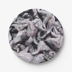 Plato De Papel Nueces de búfalo - Caltropo de agua