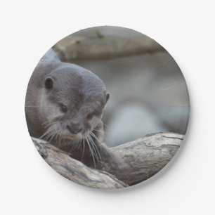 Plato De Papel Nutria adorable