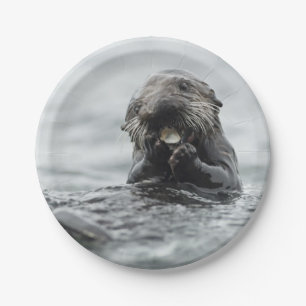 Plato De Papel Nutria de mar adorable