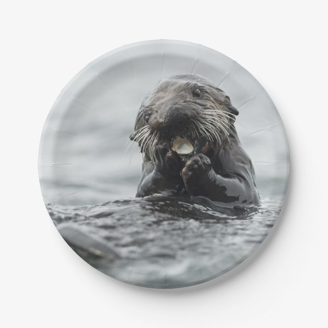 Plato De Papel Nutria de mar adorable (Anverso)