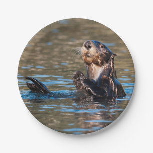 Plato De Papel Nutria de mar soleada