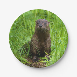 Plato De Papel Nutria de río lista