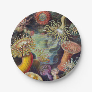 Plato De Papel Océano marino Anemone Científico