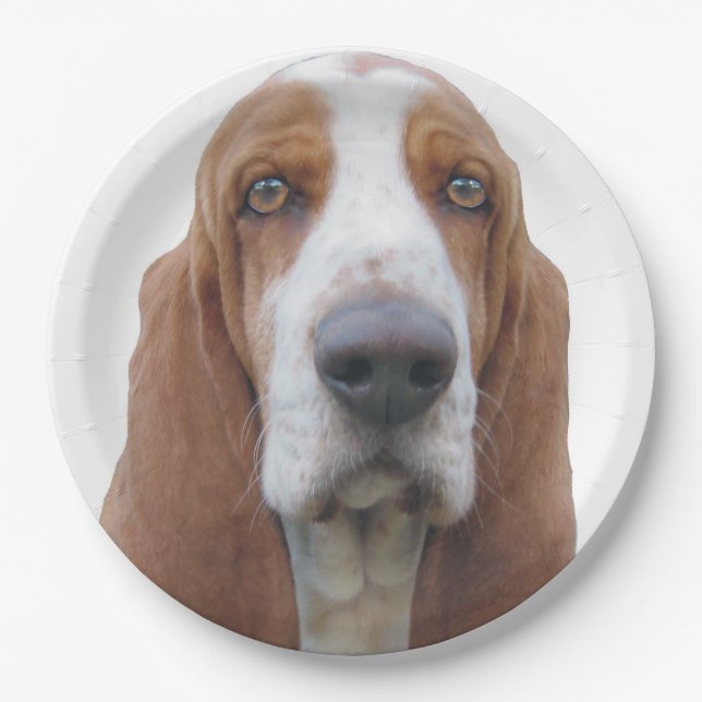 Plato De Papel Ojos brillantes Basset Hound (Anverso)