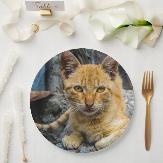 Plato De Papel Ojos dorados (Boda)