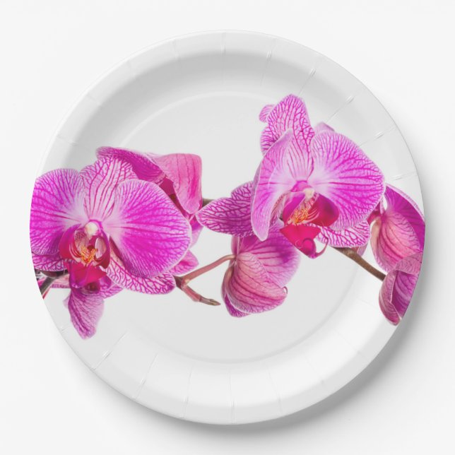 Plato De Papel Orquídea (Anverso)
