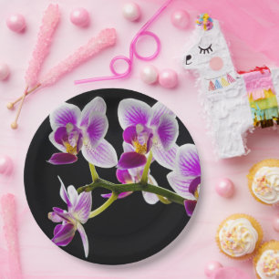 Plato De Papel Orquídea blanca y púrpura