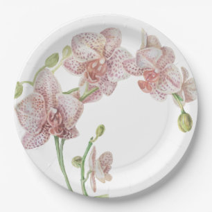 Plato De Papel Orquídea ilustrada de mano
