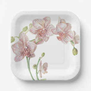 Plato De Papel Orquídea ilustrada de mano