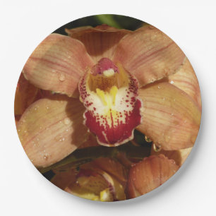 Plato De Papel Orquídeas con gotas de lluvia floral