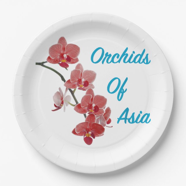 Plato De Papel Orquídeas de Asia Spa de Día (Anverso)