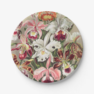 Plato De Papel Orquídeas, Orquídea Denusblumen, por Ernst Haeck