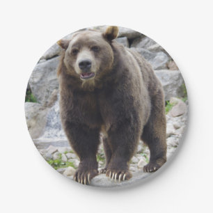 Plato De Papel Oso Kodiak