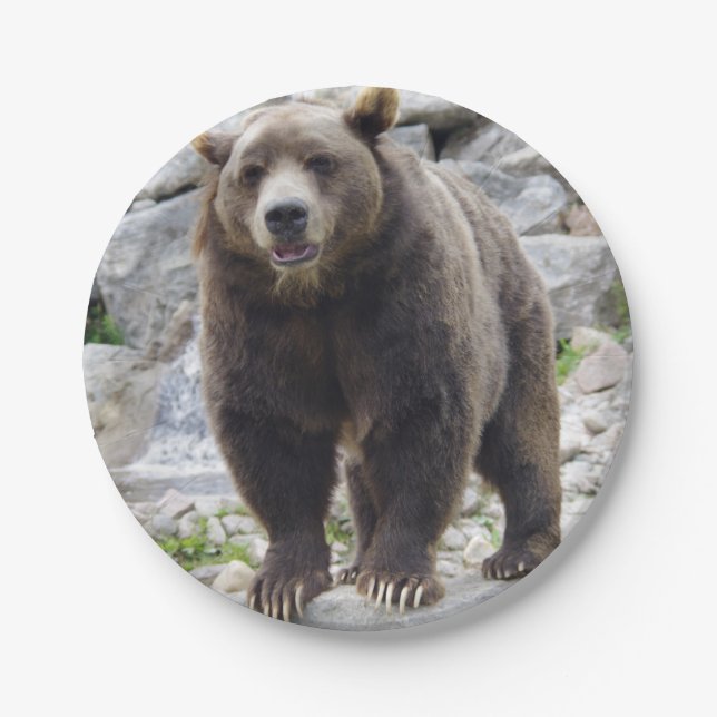 Plato De Papel Oso Kodiak (Anverso)