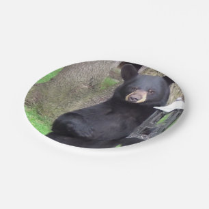 Plato De Papel Oso negro