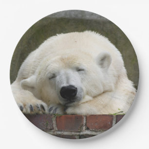 Plato De Papel Oso_polar_2015_0301