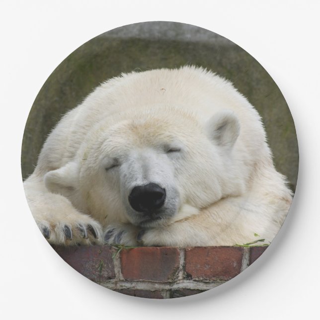 Plato De Papel Oso_polar_2015_0301 (Anverso)