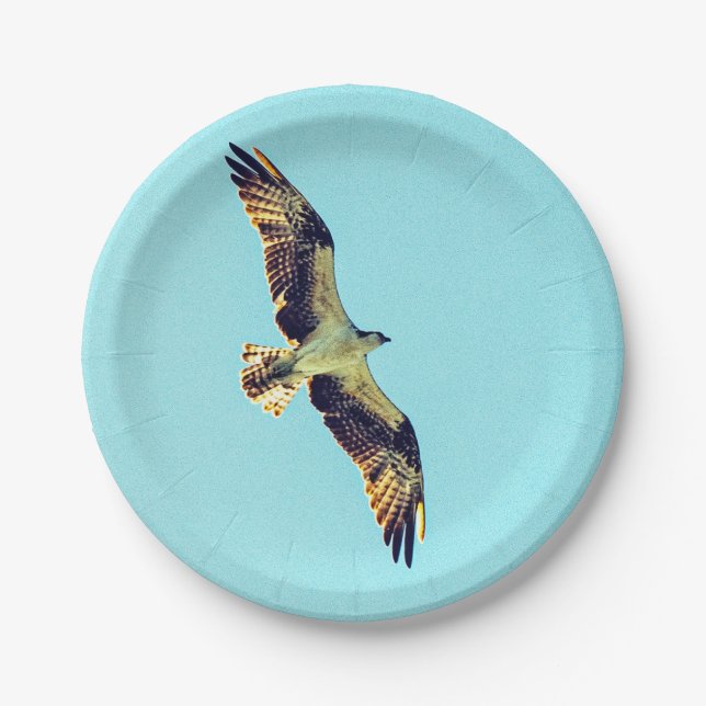 Plato De Papel Osprey art (Anverso)