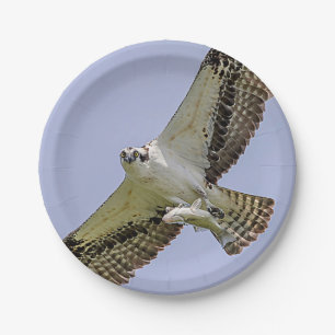 Plato De Papel Osprey con un pescado