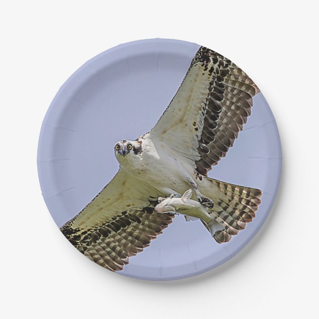 Plato De Papel Osprey con un pescado (Anverso)