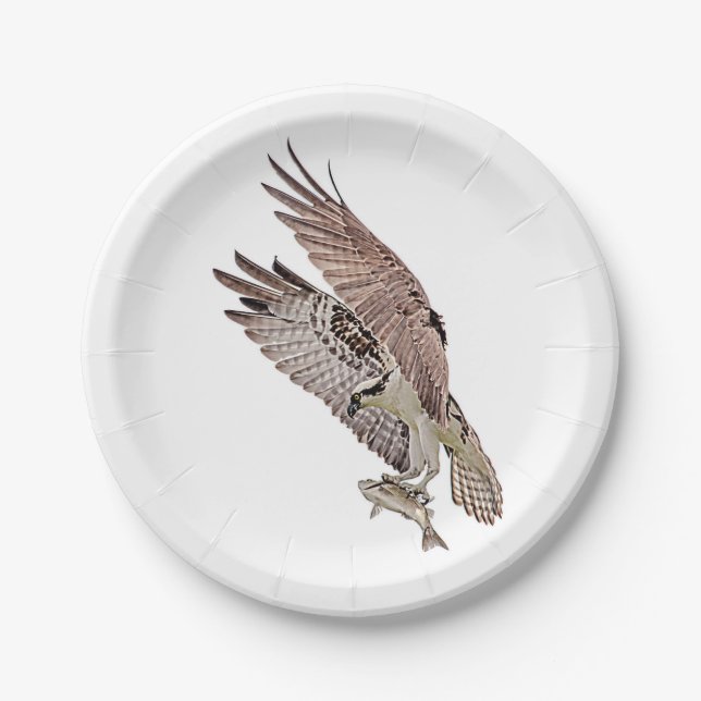 Plato De Papel Osprey con un pez (Anverso)