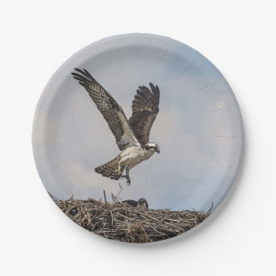 Plato De Papel Osprey en una jerarquía
