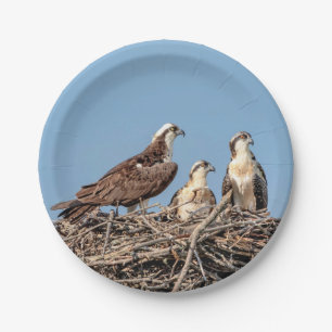 Plato De Papel Osprey mamá con sus hijos