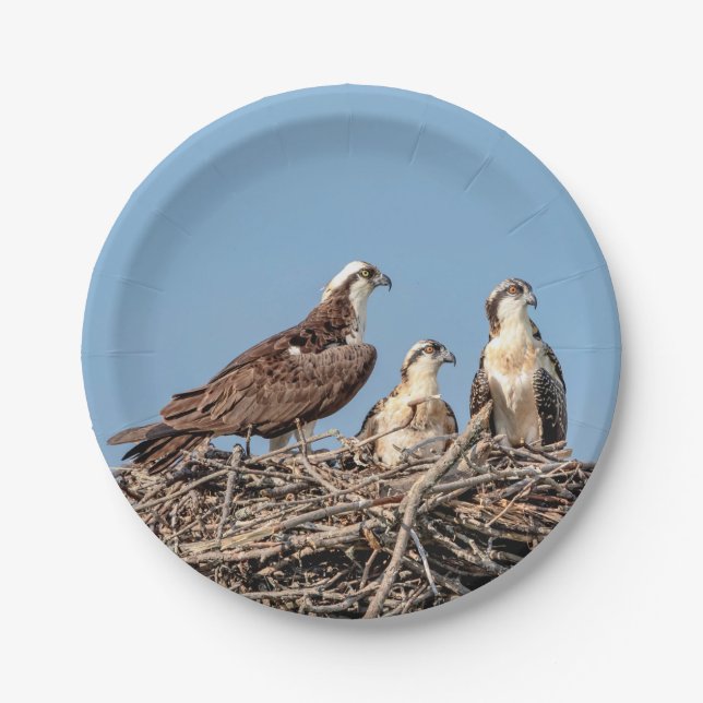Plato De Papel Osprey mamá con sus hijos (Anverso)