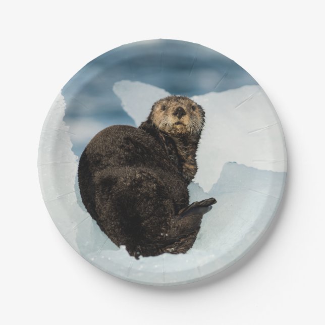 Plato De Papel Otter marino de reposo (Anverso)