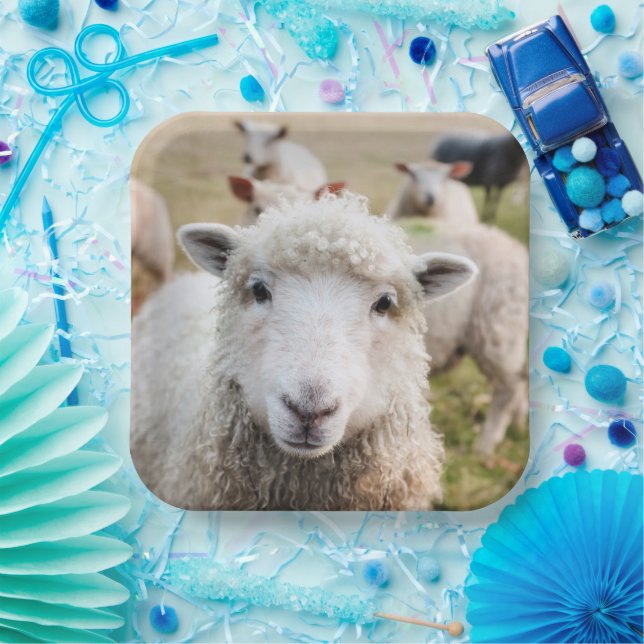 Plato De Papel Oveja (Fiesta)