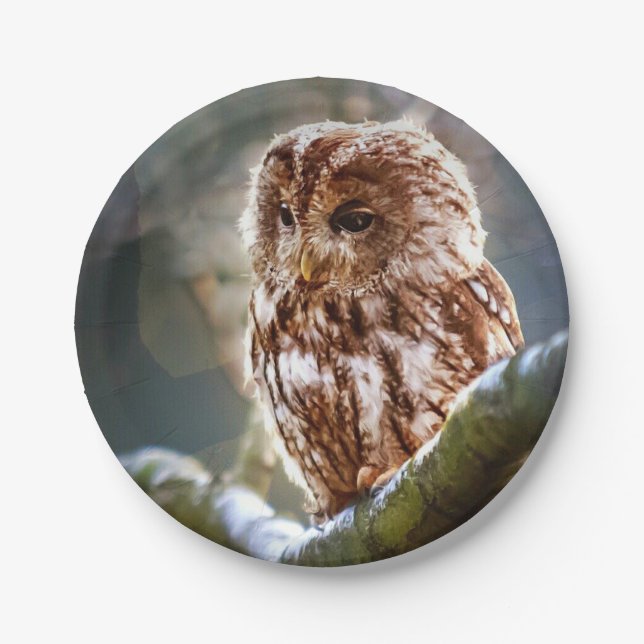 Plato De Papel Owl Hoo (Anverso)