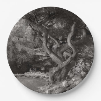 Plato De Papel Paisaje - el bosque prohibido