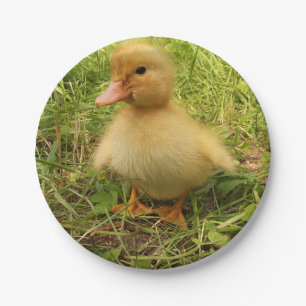 Plato De Papel pájaro, pato, pato, amarillo, naturaleza, lindo, b