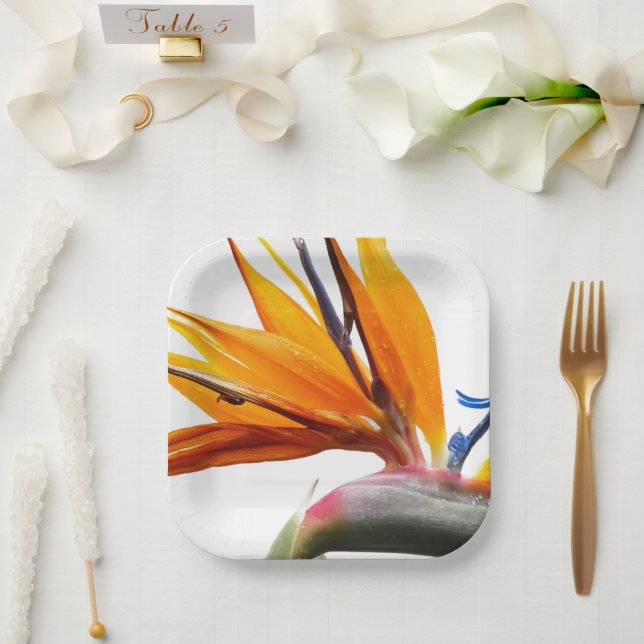 Plato De Papel Pájaro tropical de Paraíso floral (Boda)