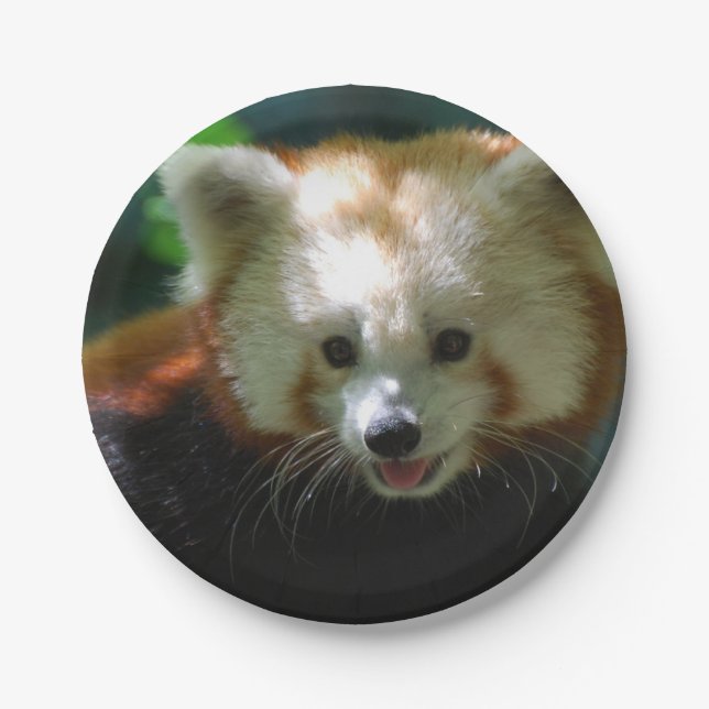 Plato De Papel Panda roja asombrosa (Anverso)