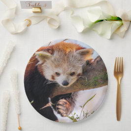 Plato De Papel Panda rojiza perezosa