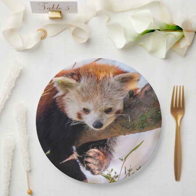 Plato De Papel Panda rojiza perezosa (Boda)