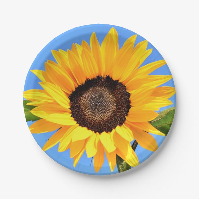 Plato De Papel Papel de girasol amarillo Placa cielo azul (Anverso)
