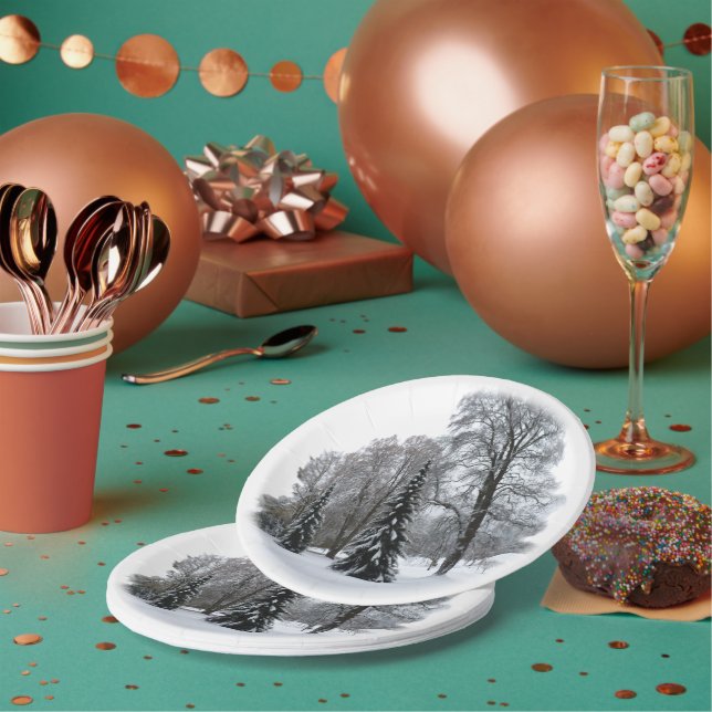 Plato De Papel Papel de vacaciones rellena placas de invierno par (Multi)