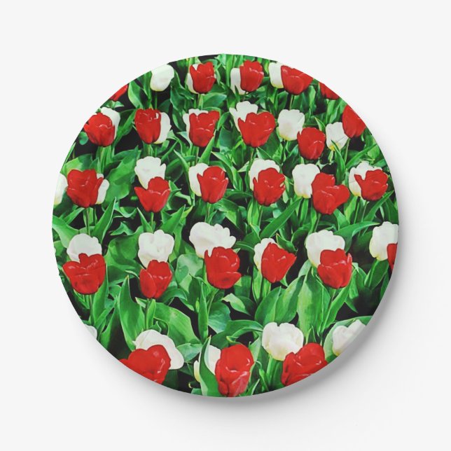 Plato De Papel Paper Plate (Anverso)