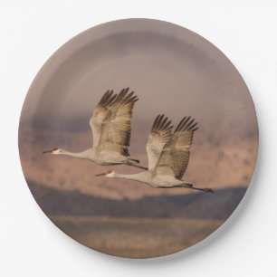 Plato De Papel Pareja de grullas en los cielos de Nuevo México